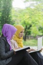 Two college students having discussion and changing ideas while sitting in the park