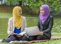 Two college students having discussion and changing ideas while sitting in the park