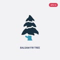 Two color balsam fir tree vector icon from nature concept. isolated blue balsam fir tree vector sign symbol can be use for web,