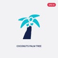 Two color coconuts palm tree of brazil vector icon from culture concept. isolated blue coconuts palm tree of brazil vector sign