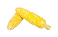 Two color corns isolated on white Royalty Free Stock Photo
