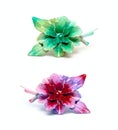 Two color hairpin