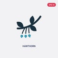 Two color hawthorn vector icon from nature concept. isolated blue hawthorn vector sign symbol can be use for web, mobile and logo