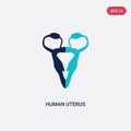 Two color human uterus vector icon from human body parts concept. isolated blue human uterus vector sign symbol can be use for web Royalty Free Stock Photo