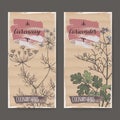 Two color labels with caraway and coriander sketch.