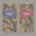 Two color labels with Juniperus communis aka juniper and Pimenta dioica aka allspice sketch on vintage background. Royalty Free Stock Photo