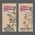 Two color labels with oregano and savory sketch.