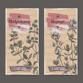 Two color labels with thyme and marjoram sketch.