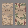 Two color labels with Yarrow and Schisandra or magnolia vine sketch. Herbal collection series.