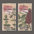 Two color labels with Zaatar aka Syrian oregano and Sumac sketch.