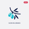 Two color olives on a branch vector icon from ecology concept. isolated blue olives on a branch vector sign symbol can be use for Royalty Free Stock Photo