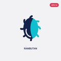 Two color rambutan vector icon from fruits concept. isolated blue rambutan vector sign symbol can be use for web, mobile and logo