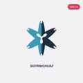 Two color sisyrinchium vector icon from nature concept. isolated blue sisyrinchium vector sign symbol can be use for web, mobile