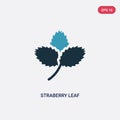 Two color straberry leaf vector icon from nature concept. isolated blue straberry leaf vector sign symbol can be use for web,