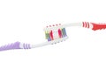 Two color toothbrushes Royalty Free Stock Photo