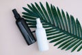 Two colored black and white bottles onbackground with green long leaf. Natural organic eco cosmetics Royalty Free Stock Photo