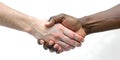 Two Colored Hands in Handshake Gesture Royalty Free Stock Photo