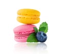 Two colored macaroons with mint leaves and blueberry closeup isolated on a white background Royalty Free Stock Photo