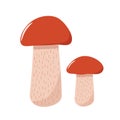 Two colored mushrooms of autumn aspen mushroom icons vector. Illustration isolated on white