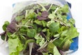 Two-colored salad with freshness-saving package