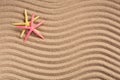 Two colored starfish on a summer beach on textured sand. Summer background. Photo for banner or advertisement. Top view Royalty Free Stock Photo