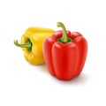 Two Colored Yellow and Red Bulgarian Bell Peppers Royalty Free Stock Photo