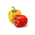 Two Colored Yellow and Red Sweet Bulgarian Bell Peppers