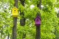 Two colorful birdhouses on trees in the spring forest Royalty Free Stock Photo