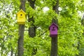 Two colorful birdhouses on trees in the spring forest