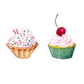 Two colorful cupcackes watercolor drawing