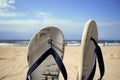 Two colorful flip flops stuck on the beach in the sand. Royalty Free Stock Photo