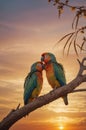 Two Stunning Macaws Tenderly Bonding on a Branch at Colorful Sunset Royalty Free Stock Photo