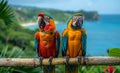 Two colorful parrots sitting on branch. A two parrots sitting on bamboo sticks Royalty Free Stock Photo