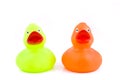 Two colorful rubber ducks Royalty Free Stock Photo