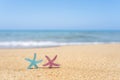 Two colorful starfish, star on sand beach with sea water background. Couple vacation concept. Royalty Free Stock Photo