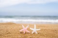 Two colorful starfish, star on sand beach with sea water background. Couple vacation concept. Royalty Free Stock Photo