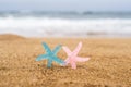 Two colorful starfish, star on sand beach with sea water background. Couple vacation concept. Royalty Free Stock Photo