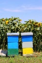 Two colorful wooden beehives Royalty Free Stock Photo