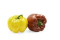 Two colors sweet bell pepper on white isolated background with clipping path. Yellow and red sweet bell pepper have high vitamin Royalty Free Stock Photo