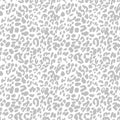 Silver on white leopard print seamless repeat pattern background Royalty Free Stock Photo