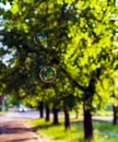 Two coloured translucent soap bubbles Royalty Free Stock Photo