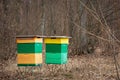 Two colourful beehives standing in a forest