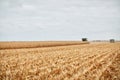 Two combine harvesters harvesting maize