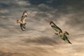 Two common buzzard birds, prayer bird, buteo buteo, in flight against a dramatic golden brown sky. composite photo