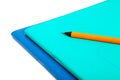Two common notebook and pencil on white Royalty Free Stock Photo