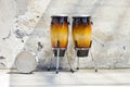 Two congas in front of a vintage wall Royalty Free Stock Photo