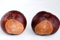 two conkers