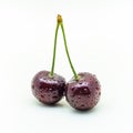 Two connected wet cherries on a white background Royalty Free Stock Photo