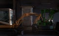 Two construction excavators of yellow and green color for the construction site parked after finishing work Royalty Free Stock Photo