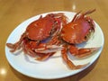 Two cooked crabs on the white plate